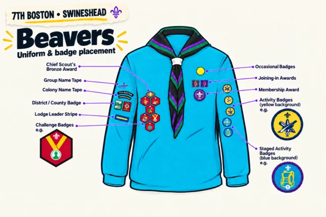 Beavers uniform and badge placement illustration for 7th Boston Swineshead, with the black necker edged in purple and green