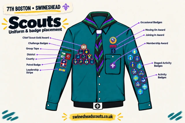 Scouts uniform and badge placement illustration for 7th Boston Swineshead, with the black necker edged in purple and green